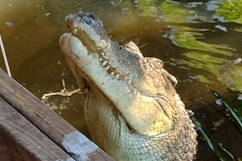 Litchfield Park Adventures And Jumping Crocodile Cruise + Butterfly Farm - Accommodation Sunshine Coast 5