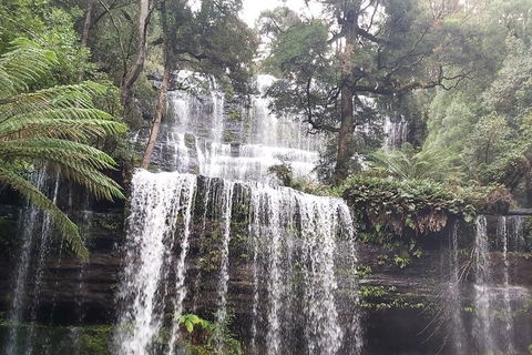 6-Day Hearty Tasmania Tour (Tasmania In A Circle) - Accommodation Sunshine Coast 0