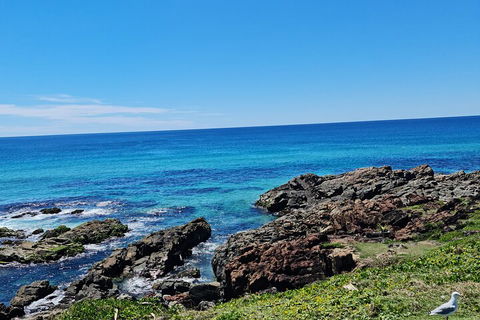 Private Custom Byron Bay Day Out - Accommodation Sunshine Coast 4