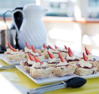 90min Brisbane River Cruise/Tour