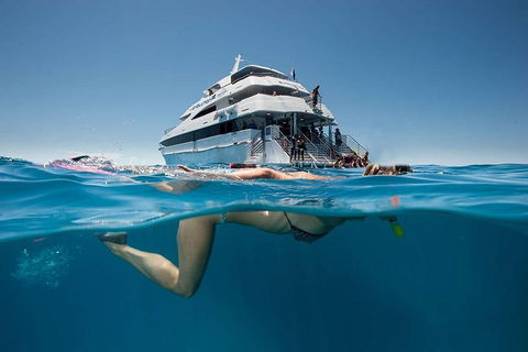 3 Day Great Barrier Reef, Daintree Rainforest And Outback Chillagoe Tour - Accommodation Sunshine Coast 0