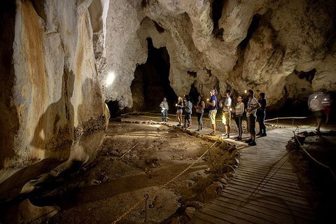 3 Day Great Barrier Reef, Daintree Rainforest And Outback Chillagoe Tour - Accommodation Sunshine Coast 1