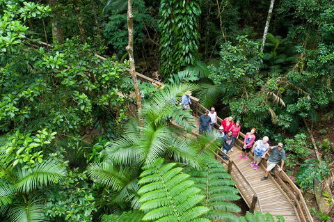 3 Day Great Barrier Reef, Daintree Rainforest And Outback Chillagoe Tour - Accommodation Sunshine Coast 2
