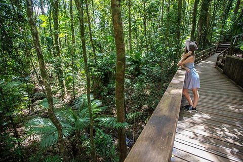 3 Day Great Barrier Reef, Daintree Rainforest And Outback Chillagoe Tour - Accommodation Sunshine Coast 3