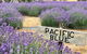 Kangaroo Island Food And Wine Hop-on Hop-off Tour - thumb 4