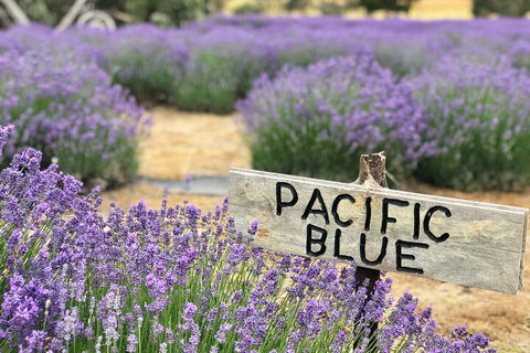 Kangaroo Island Food And Wine Hop-on Hop-off Tour - Accommodation Sunshine Coast 4