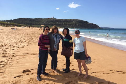 Small-Group Sydney's Northern Beaches And Ku-ring-gai National Park Bus Tour - Accommodation Sunshine Coast 2