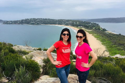 Small-Group Sydney's Northern Beaches And Ku-ring-gai National Park Bus Tour - Accommodation Sunshine Coast 3