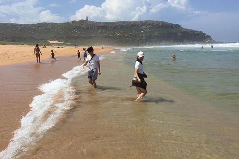 Small-Group Sydney's Northern Beaches And Ku-ring-gai National Park Bus Tour - Accommodation Sunshine Coast 5