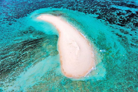 Private Coral Cay Bubbles Tour - Accommodation Sunshine Coast 3