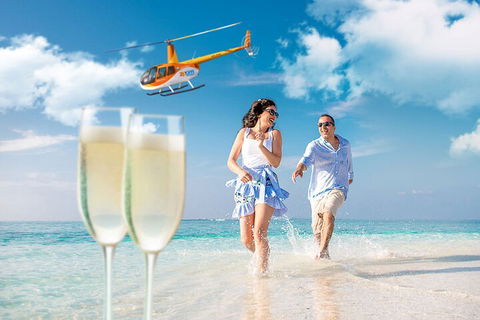 Private Coral Cay Bubbles Tour - Accommodation Sunshine Coast 4