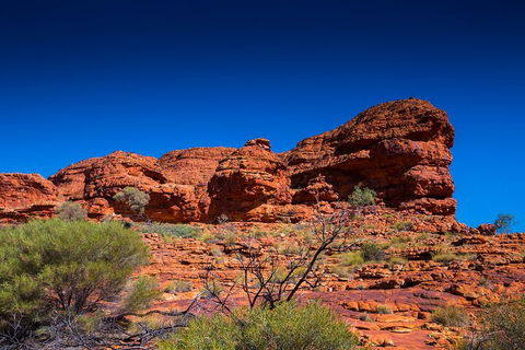 7-Day Guided Tour Of Alice Springs With Accommodation Included - Accommodation Sunshine Coast 4