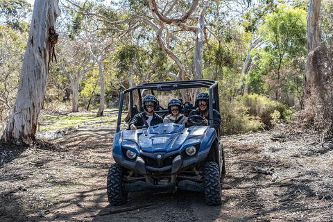 Small-Group Buggy Tour At Little Sahara With Guide - Accommodation Sunshine Coast 0