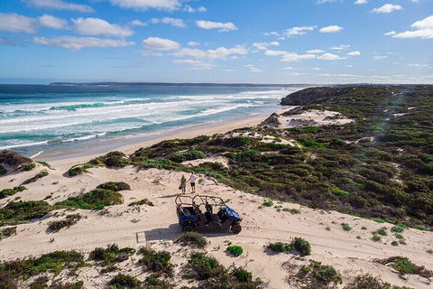 Small-Group Buggy Tour At Little Sahara With Guide - Accommodation Sunshine Coast 1