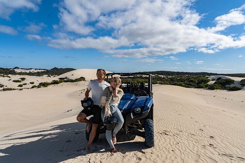 Small-Group Buggy Tour At Little Sahara With Guide - Accommodation Sunshine Coast 2