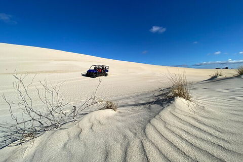 Small-Group Buggy Tour At Little Sahara With Guide - Accommodation Sunshine Coast 3
