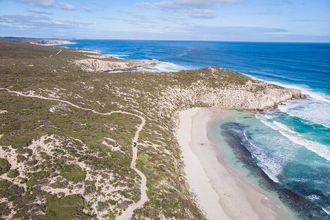 Small-Group Buggy Tour At Little Sahara With Guide - Accommodation Sunshine Coast 4
