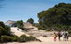2-Hour Koala Walking Tour In Kangaroo Island - thumb 3