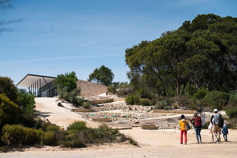 2-Hour Koala Walking Tour In Kangaroo Island - Accommodation Sunshine Coast 3