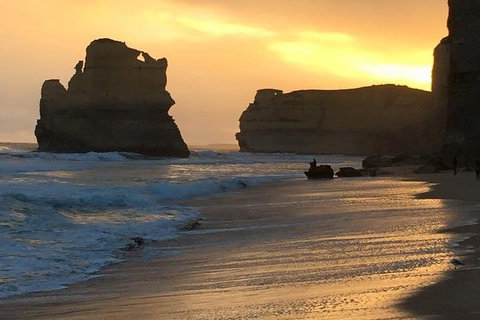 Great Ocean Road Small-Group Ecotour From Melbourne - Accommodation Sunshine Coast 5