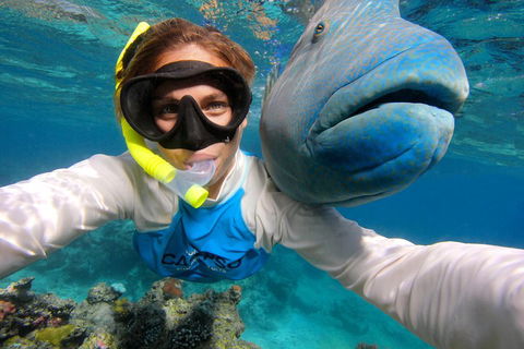 Calypso Outer Great Barrier Reef Cruise From Port Douglas - Accommodation Sunshine Coast 5