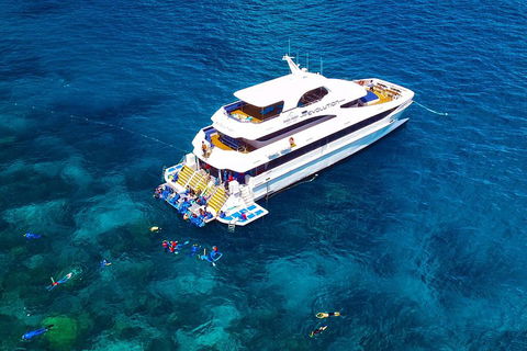 Great Barrier Reef Snorkeling And Diving Cruise From Cairns - Accommodation Sunshine Coast 5