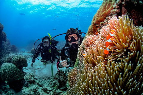 Full Day Reef Cruise Including 10 Minute Heli Scenic Flight: Get High Package - Accommodation Sunshine Coast 5