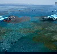 Cruise to Moore Reef Pontoon and Return Helicopter Flight from Cairns - Accommodation Sunshine Coast