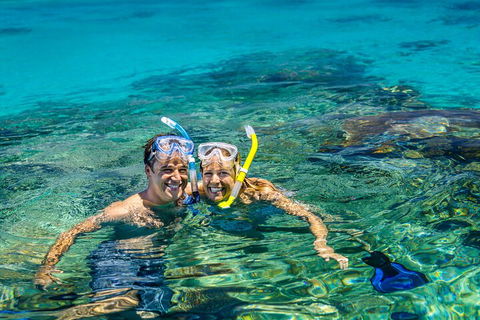 Fly To Green Island - Cruise Return - Accommodation Sunshine Coast 2