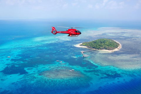 Fly To Green Island - Cruise Return - Accommodation Sunshine Coast 3
