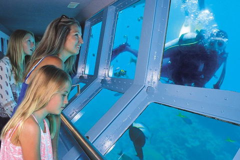 Helicopter And Cruise Packages From Port Douglas - Accommodation Sunshine Coast 0