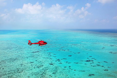 Helicopter And Cruise Packages From Port Douglas - Accommodation Sunshine Coast 1
