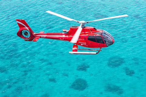 Port Douglas Scenic Flights - Accommodation Sunshine Coast 2