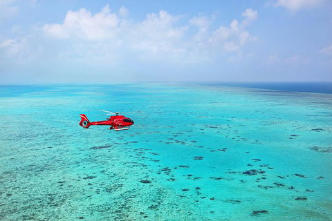 Port Douglas - Cruise And 10 Minute Scenic Flight - Accommodation Sunshine Coast 1