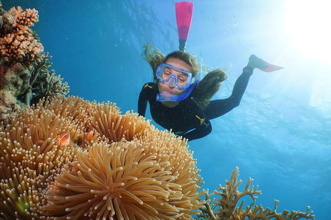 Port Douglas - Cruise And 10 Minute Scenic Flight - Accommodation Sunshine Coast 3