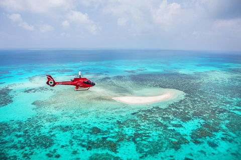Ultimate Great Barrier Reef And Rainforest 45-minute Helicopter Tour - Accommodation Sunshine Coast 3