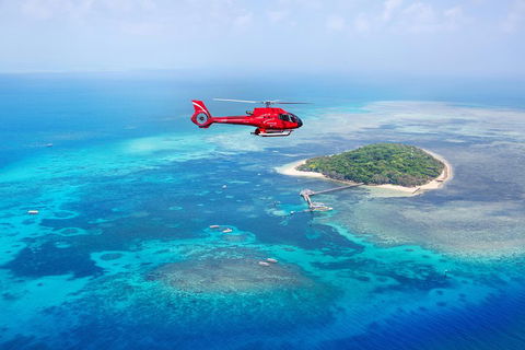 Ultimate Great Barrier Reef And Rainforest 45-minute Helicopter Tour - Accommodation Sunshine Coast 4