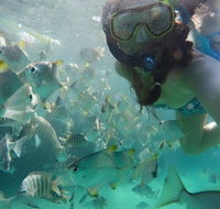 2-Day Moreton Island 4WD Camping Tour from Brisbane