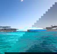 Fremantle to Rottnest Island Roundtrip Ferry Ticket - Accommodation Sunshine Coast