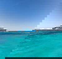 Rottnest Island Fortress Adventure Segway Package from Fremantle - Accommodation Sunshine Coast