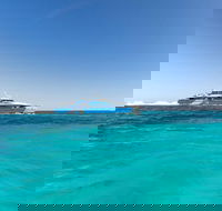 Rottnest Island Bayseeker Day Trip from Perth - Accommodation Sunshine Coast