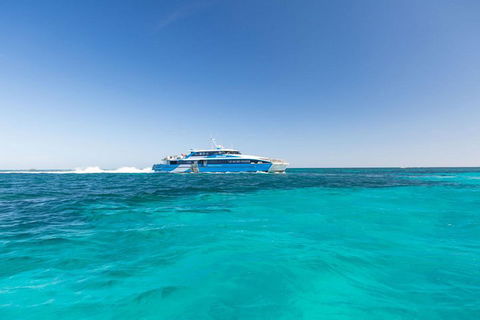 Rottnest Island Bayseeker Day Trip From Perth - Accommodation Sunshine Coast 0