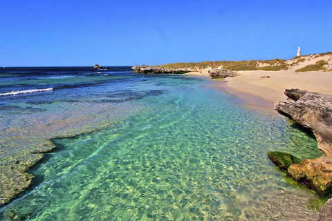 Rottnest Island Bayseeker Day Trip From Perth - Accommodation Sunshine Coast 5
