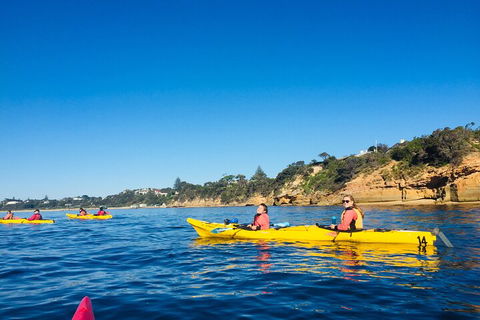 Mornington Peninsula Kayak Coastline Tour Of Dolphin Sanctuary - Accommodation Sunshine Coast 1