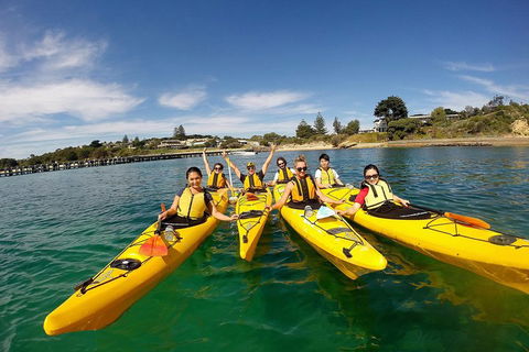 Mornington Peninsula Kayak Coastline Tour Of Dolphin Sanctuary - Accommodation Sunshine Coast 2