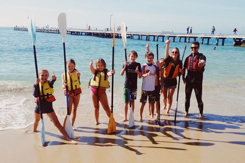 Mornington Peninsula Kayak Coastline Tour Of Dolphin Sanctuary - Accommodation Sunshine Coast 3