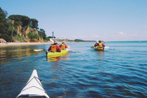 Mornington Peninsula Kayak Coastline Tour Of Dolphin Sanctuary - Accommodation Sunshine Coast 5