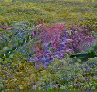 Litchfield Park  Daly River - Scenic Flight From Darwin - Accommodation Sunshine Coast