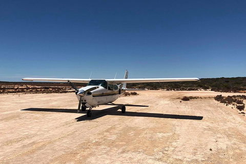 Kalbarri Gorges & West Coast - Ground & Air Tour - Accommodation Sunshine Coast 4