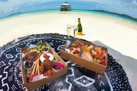 Reef & Whitehaven Landing - Accommodation Sunshine Coast 2